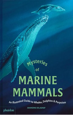 Mysteries of Marine Mammals